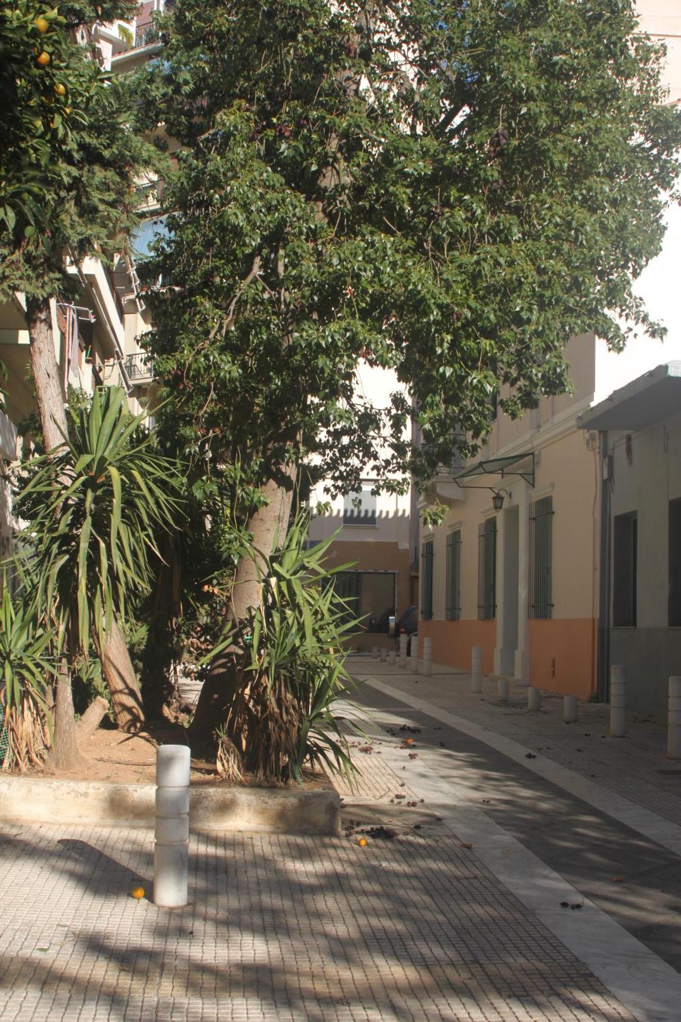"Under The Olive Tree"- Beautiful Apartment In The Heart Of Athens Atenas Exterior foto