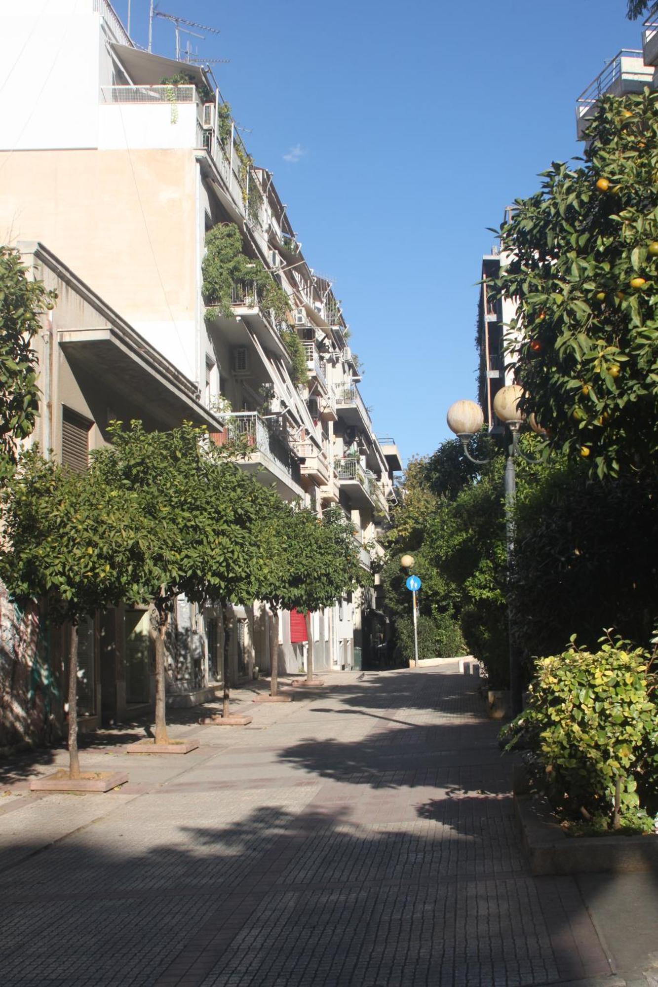 "Under The Olive Tree"- Beautiful Apartment In The Heart Of Athens Atenas Exterior foto