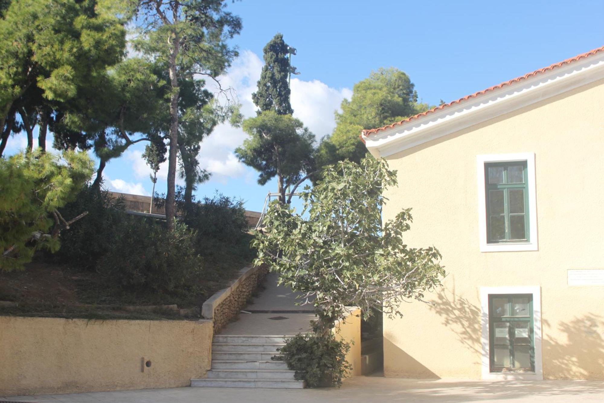 "Under The Olive Tree"- Beautiful Apartment In The Heart Of Athens Atenas Exterior foto