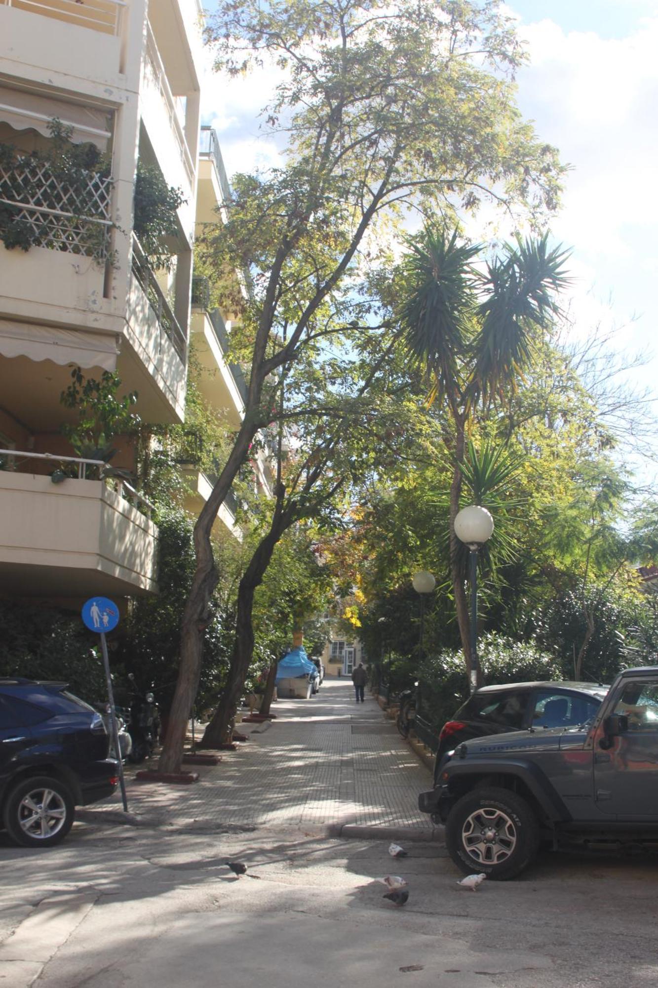 "Under The Olive Tree"- Beautiful Apartment In The Heart Of Athens Atenas Exterior foto